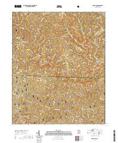 Bee Branch 2021 topographic map thumbnail