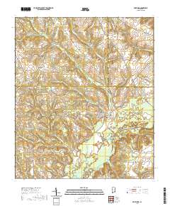 Bellwood 2020 topographic map thumbnail