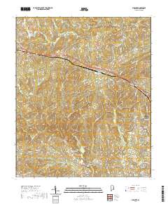 Bleecker 2020 topographic map thumbnail
