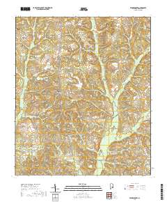 Brundidge NW 2020 topographic map thumbnail