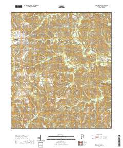 Citronelle East 2020 topographic map thumbnail