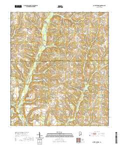 Coffee Springs 2020 topographic map thumbnail