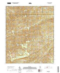 Daviston 2020 topographic map thumbnail