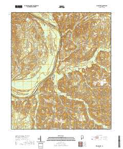 Flynns Lake 2020 topographic map thumbnail