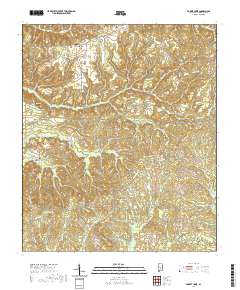 Forest Home 2020 topographic map thumbnail