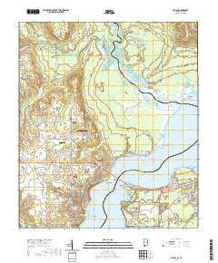 Lillian 2020 topographic map thumbnail