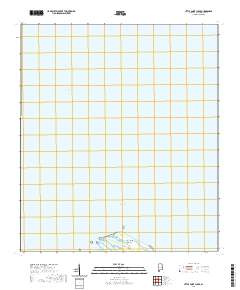 Little Point Clear 2020 topographic map thumbnail