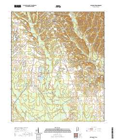 Marion South 2020 topographic map thumbnail