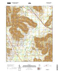 Moontown 2020 topographic map thumbnail