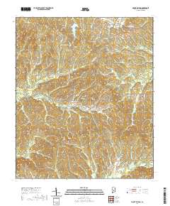 Mount Willing 2020 topographic map thumbnail