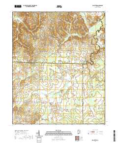 Old Bethel 2020 topographic map thumbnail