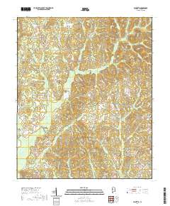 Palmetto 2020 topographic map thumbnail