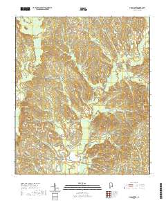 Pigeon Creek 2020 topographic map thumbnail