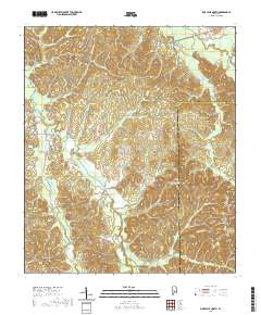 Pine Apple North 2020 topographic map thumbnail