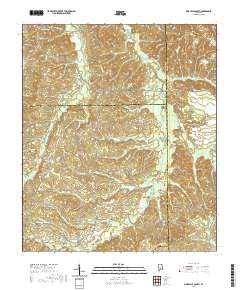 Pine Apple South 2020 topographic map thumbnail
