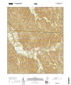 Pleasant Site 2020 topographic map thumbnail