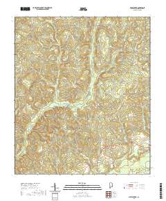 Shipps Creek 2020 topographic map thumbnail