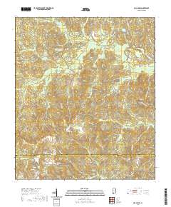 Sims Chapel 2020 topographic map thumbnail