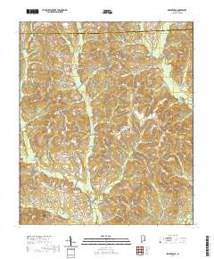 Skipperville 2020 topographic map thumbnail