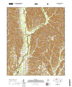 Summerfield 2021 topographic map thumbnail
