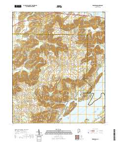 Swearengin 2020 topographic map thumbnail