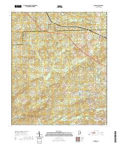Waverly 2020 topographic map preview