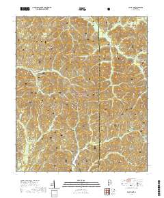 Payne Lake 2021 topographic map thumbnail