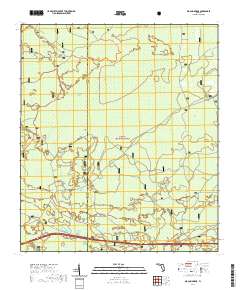 Big Gum Swamp 2021 topographic map thumbnail