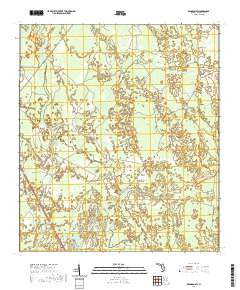 Bronson SW 2021 topographic map thumbnail