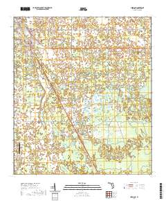 Chiefland 2021 topographic map thumbnail