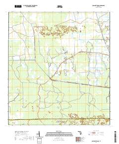 Cow Bone Island 2021 topographic map thumbnail