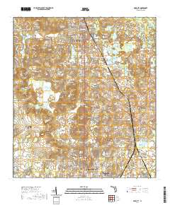 Dade City 2021 topographic map thumbnail