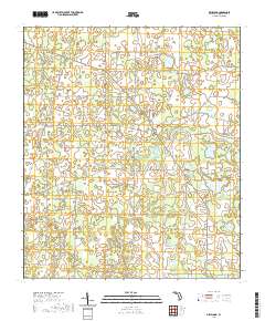 Dellwood 2021 topographic map thumbnail