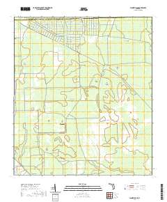 Dinner Island 2021 topographic map thumbnail