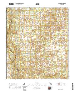 Dowling Park 2021 topographic map thumbnail