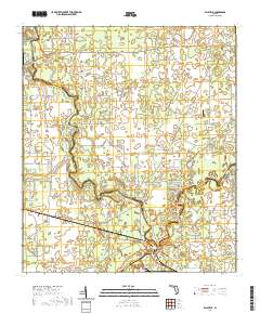 Ellaville 2021 topographic map thumbnail