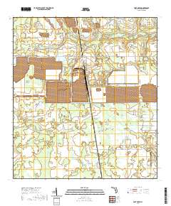 Fort Green 2021 topographic map thumbnail