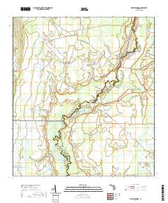 Fort Kissimmee 2021 topographic map thumbnail