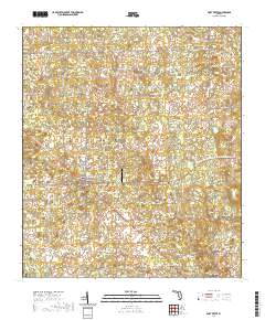 Fort White 2021 topographic map thumbnail