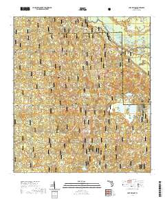 Lake Delancy 2021 topographic map thumbnail