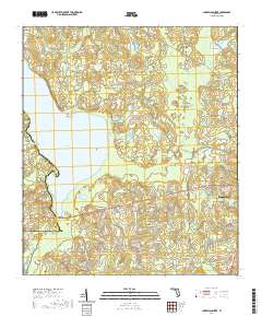 Lake Miccosukee 2021 topographic map thumbnail