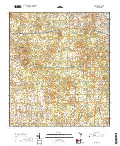 Lecanto 2021 topographic map thumbnail