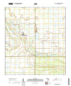 Long Island Marsh SE 2021 topographic map thumbnail