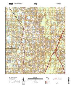 Lutz 2021 topographic map thumbnail