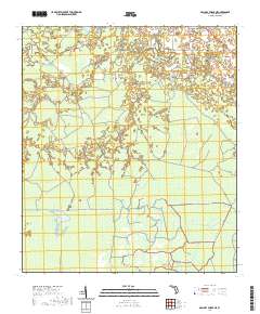 Mallory Swamp NE 2021 topographic map thumbnail