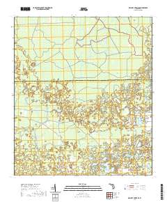 Mallory Swamp SE 2021 topographic map thumbnail