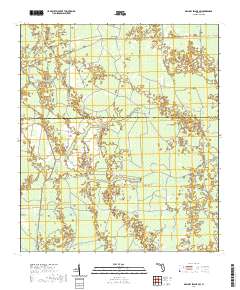 Mallory Swamp SW 2021 topographic map thumbnail