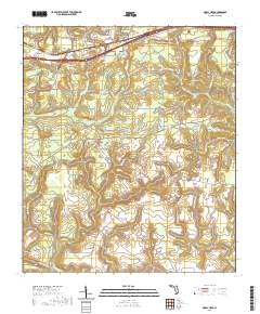 Mossy Head 2021 topographic map thumbnail