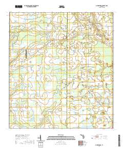 Myakka Head 2021 topographic map thumbnail