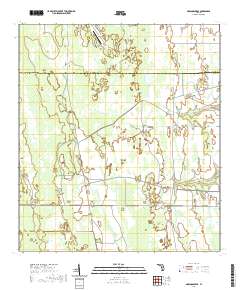 Narcoossee SE 2021 topographic map thumbnail
